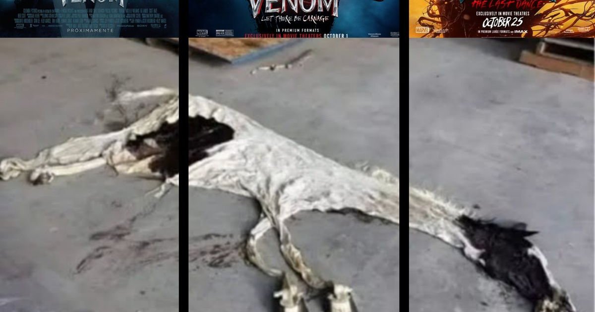 Dizem que #Venom3 é tão legal que faz #Venom2 parecer #Venom1. | Cinexcepción