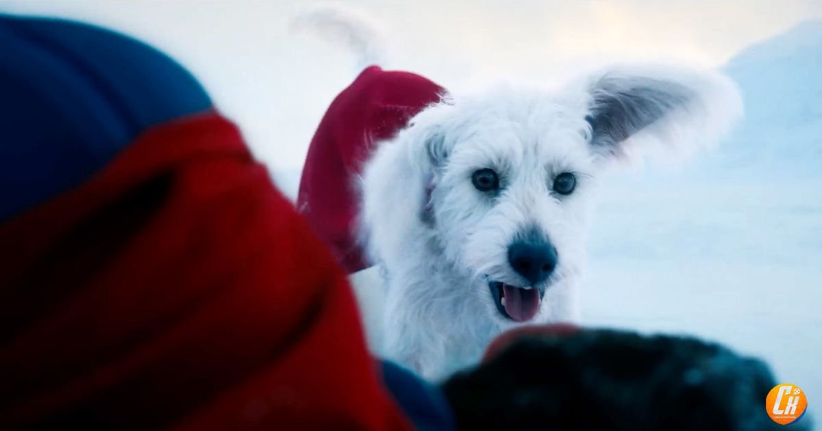 Primer vistazo a #Krypto, el superperro en la nueva película de #Superman. | Cinexcepción