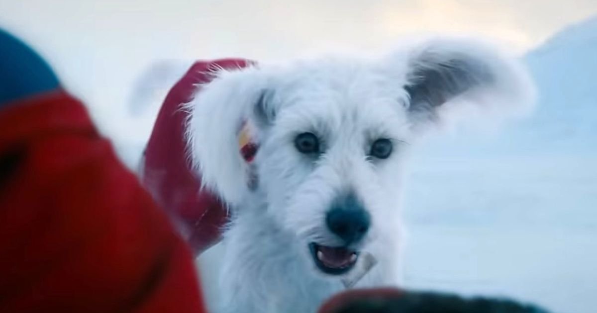 ¡#Krypto tendrá su propia serie de cortos! 🐶💥 Además, vienen muchas nueva | Cinexcepción