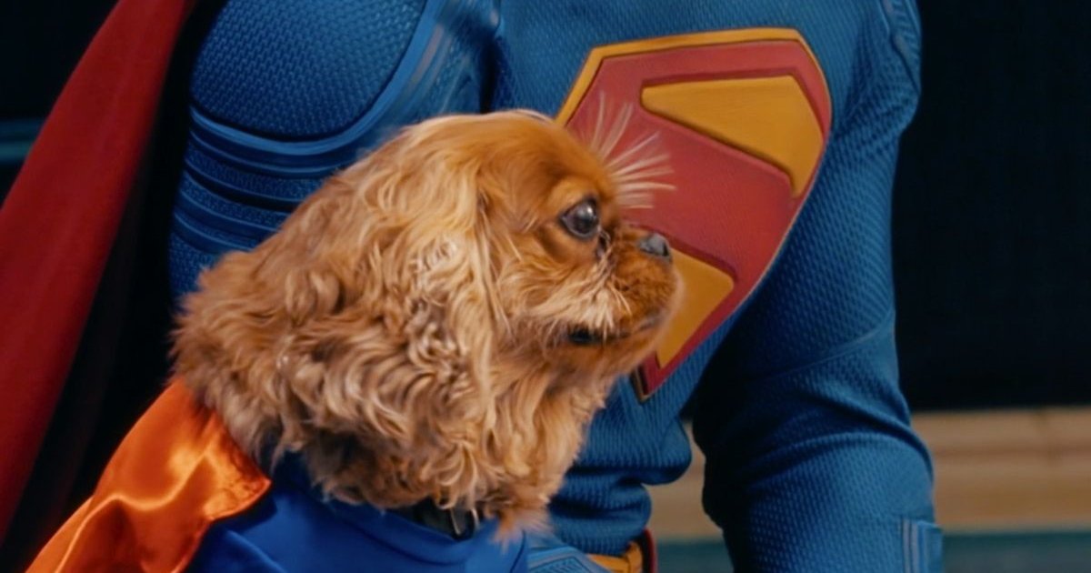David Corenswet et son chien / Krypto et Superman. | Cinexcepción