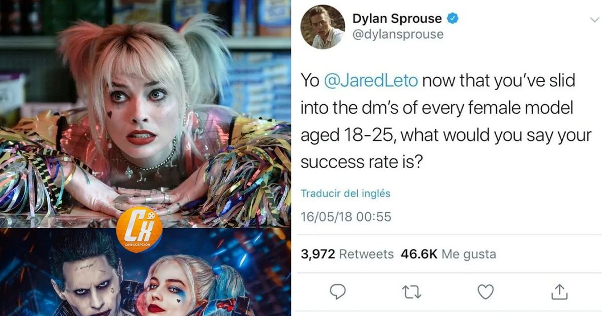 Perguntaram a James Gunn se Margot Robbie retornará como Harley Quinn em seu nov | Cinexcepción