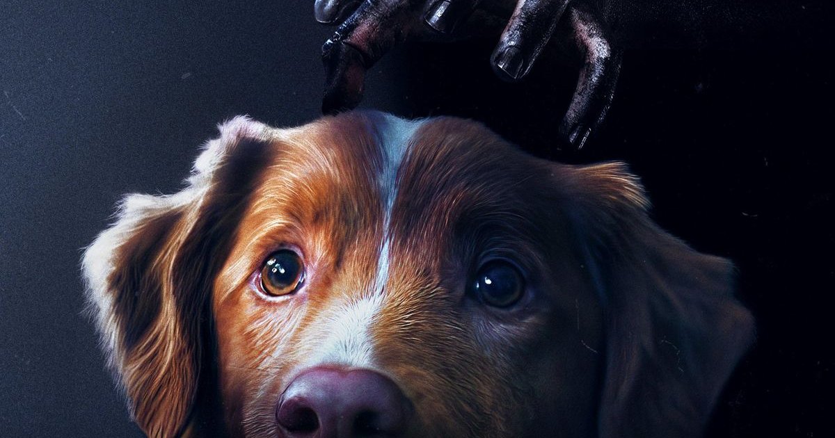 Póster de #GoodBoy. Tras la muerte de un familiar, Todd se traslada con su  | Cinexcepción