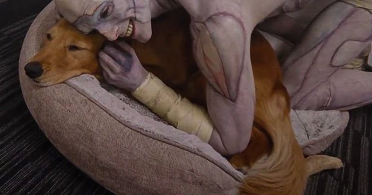 #JacobElordi con il suo cane sul set di Frankenstein di Guillermo del Toro. | Cinexcepción