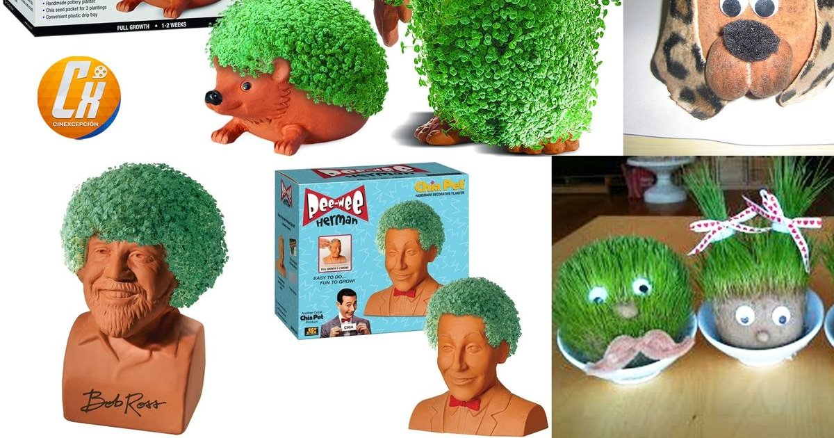 Die WTF-Neuigkeit des Tages: Das Chia Pet Cinematic Universe kommt. | Cinexcepción