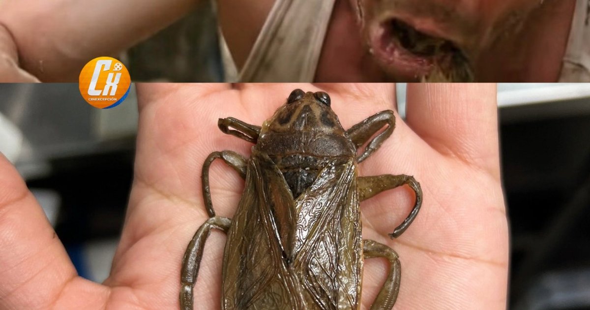 L'insecte que Dylan O'Brien a avalé dans 