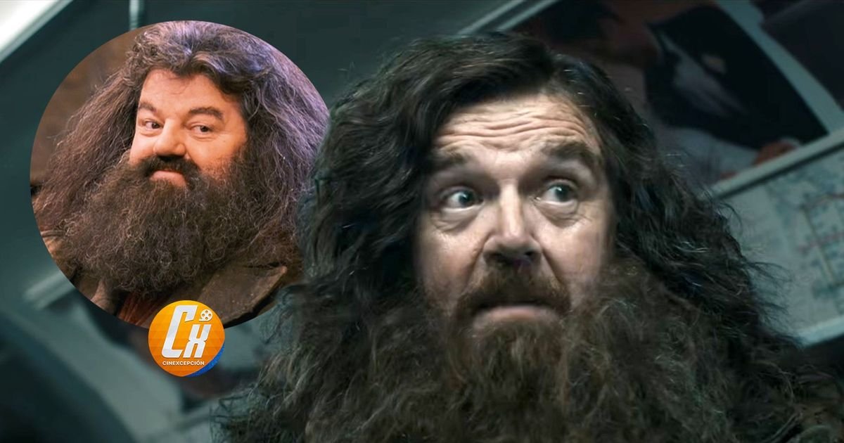 OFFIZIELL: Schauen Sie sich zum ersten Mal #NickFrost als RUBEUS HAGRID in der H | Cinexcepción