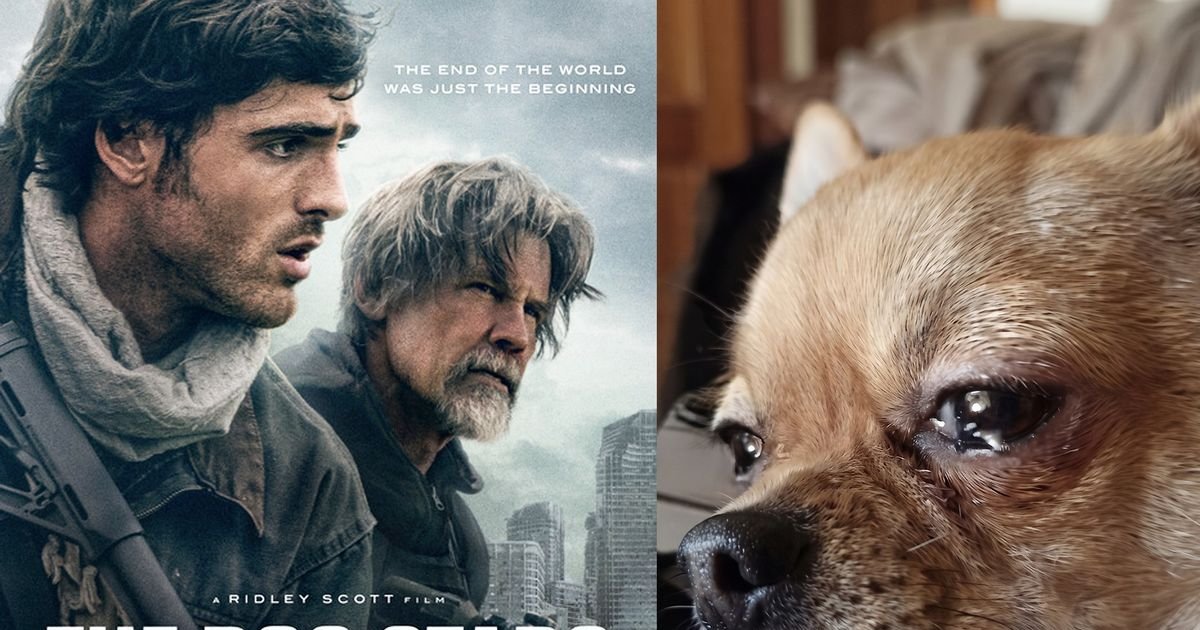 THE DOG STARS se fue para los perros. Es un fracaso masivo en taquilla. | Cinexcepción
