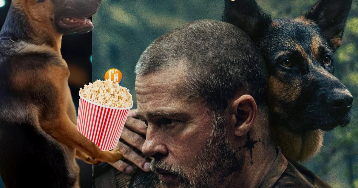 Todos nós gostamos de filmes sobre cães, mas nem todos os filmes sobre cães func | Cinexcepción