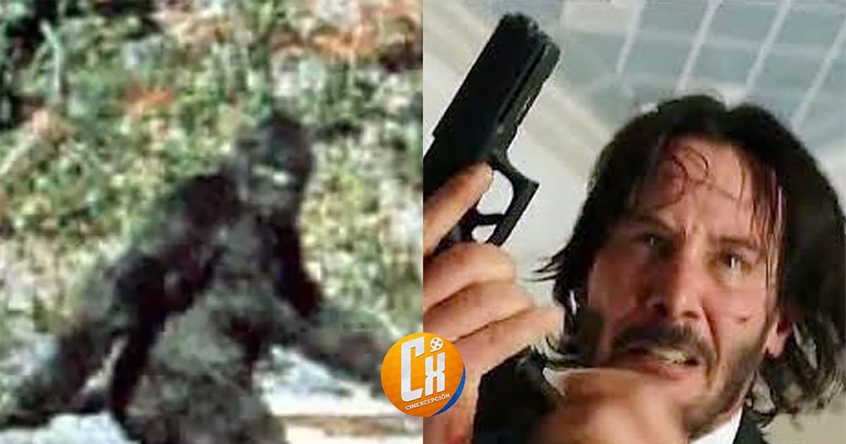 Immagine di John Wick... | Cinexcepción