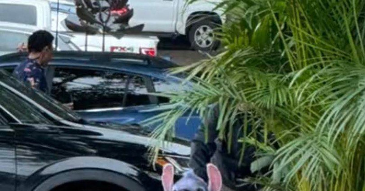 Foto vom Set des Remakes von „LILO & STITCH“. | Cinexcepción