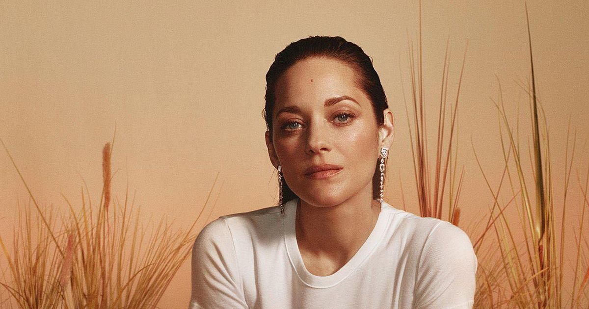 Marion Cotillard schließt sich in Staffel 4 der Besetzung von „THE MORNING SHOW“ | Cinexcepción