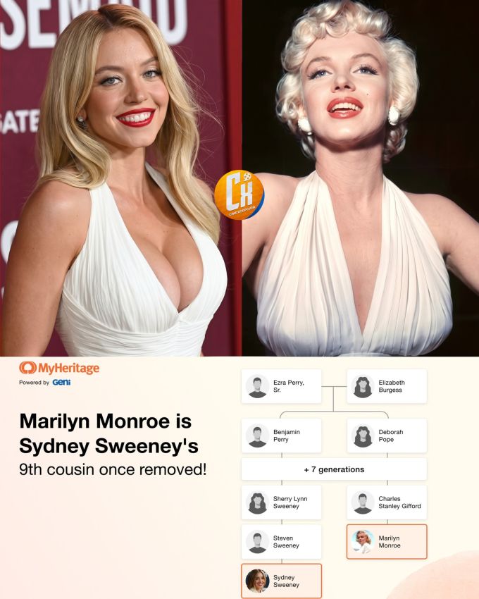 SYDNEY SWEENEY y MARILYN MONROE SON FAMILIA. | Cinexcepción