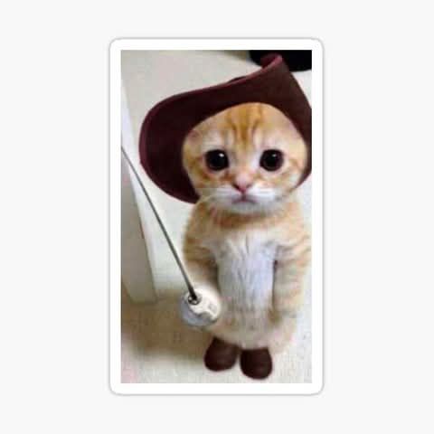 Oigan, ya vi El Gato con Botas: El Último Deseo, NO ME GUSTÓ. | Cinexcepción