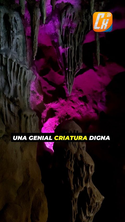 #TheOdyssey #LaOdisea #ChristopherNolan | Cinexcepción